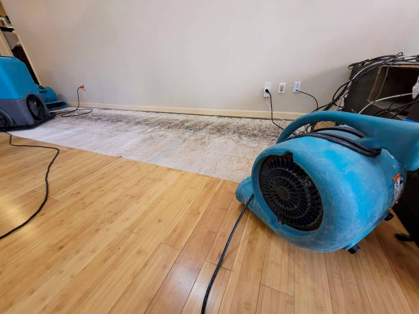 Professional Water Damage Repair technician working in Epping, NH